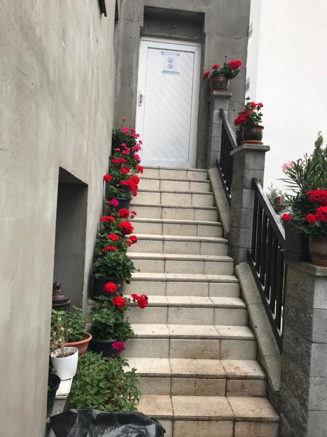 Penzion Vilo Bratislava Bagian luar foto